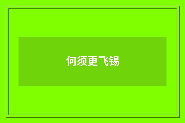 何须更飞锡