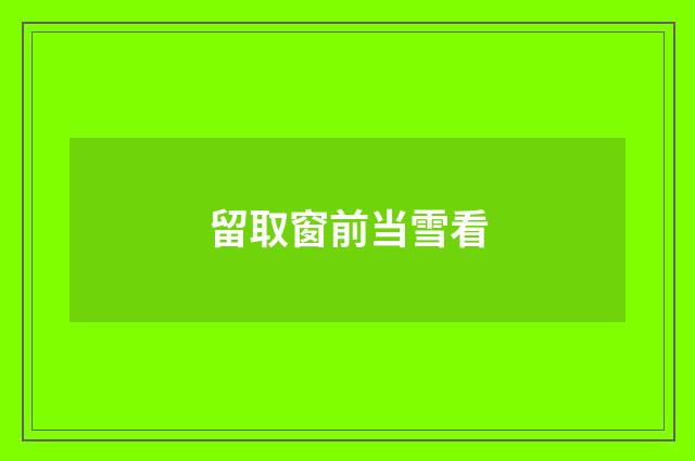留取窗前当雪看