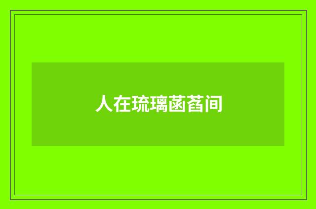 人在琉璃菡萏间