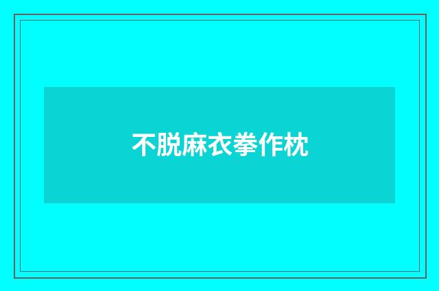 不脱麻衣拳作枕
