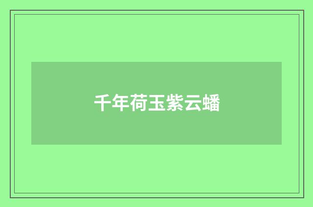 千年荷玉紫云蟠
