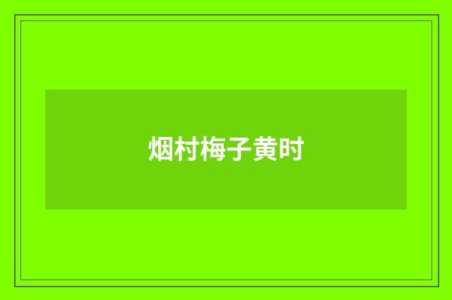 烟村梅子黄时