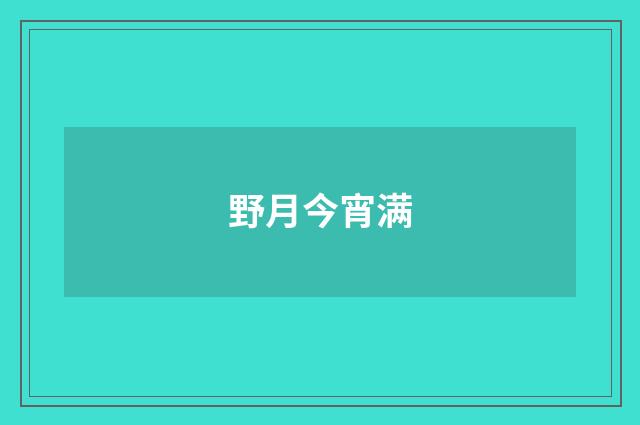 野月今宵满