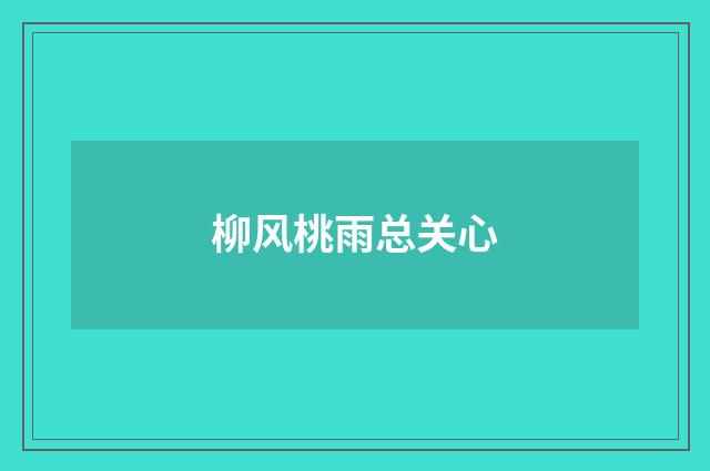 柳风桃雨总关心