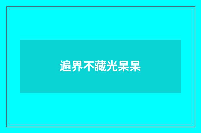 遍界不藏光杲杲