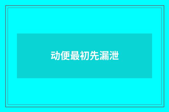 动便最初先漏泄