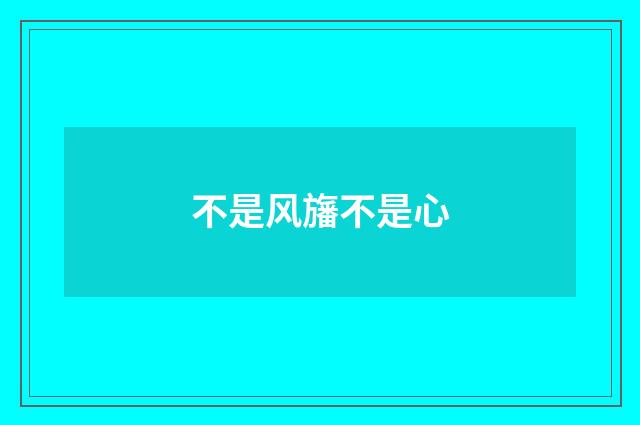 不是风旛不是心