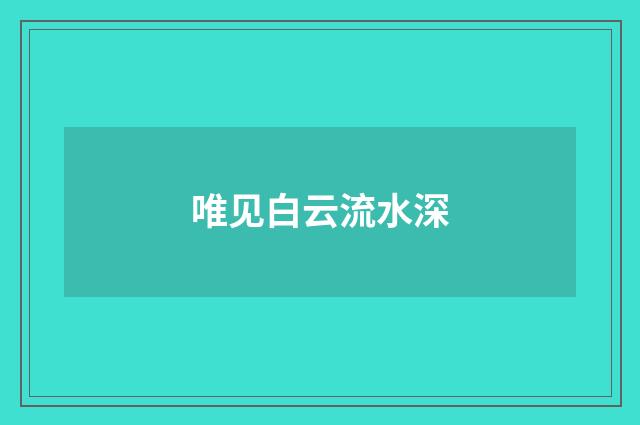 唯见白云流水深