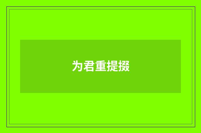为君重提掇