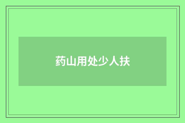 药山用处少人扶