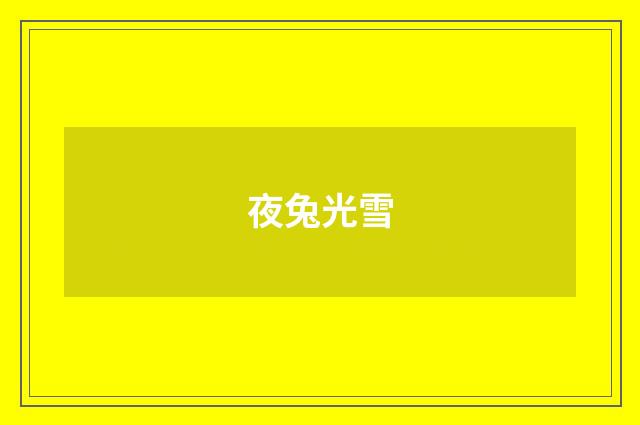 夜兔光雪