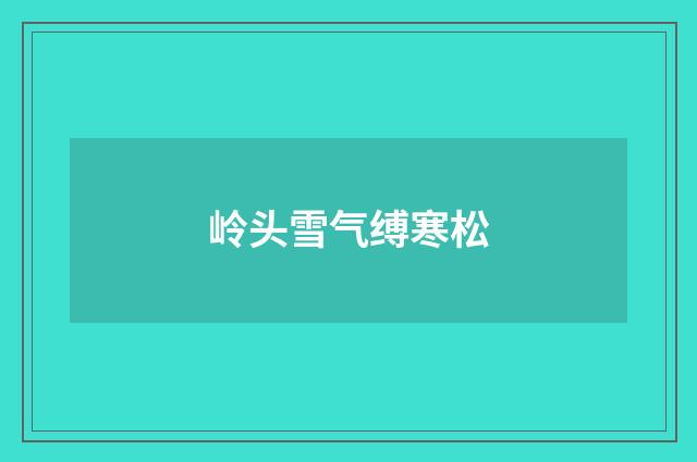 岭头雪气缚寒松