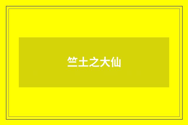竺土之大仙