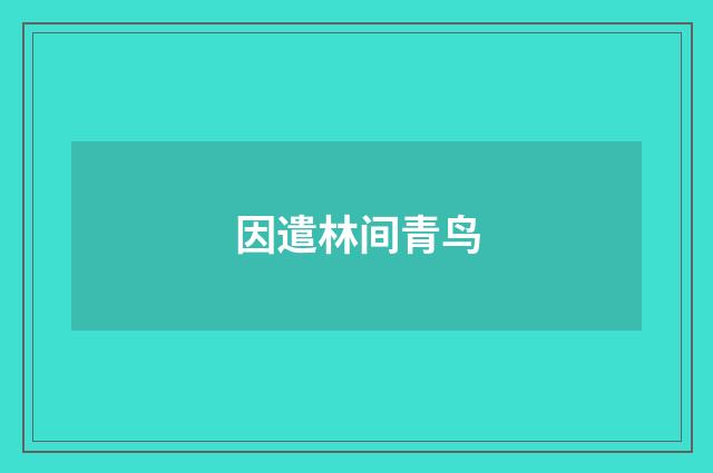 因遣林间青鸟