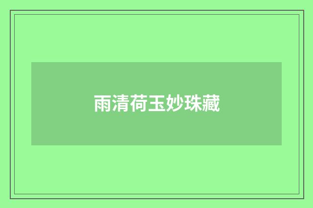 雨清荷玉妙珠藏