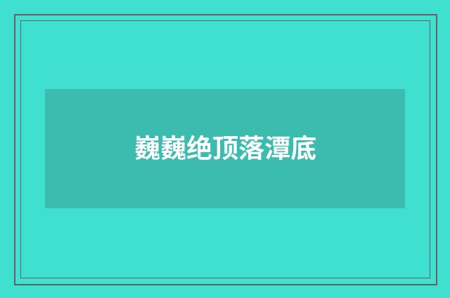 巍巍绝顶落潭底