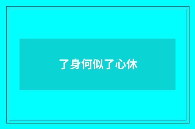 了身何似了心休