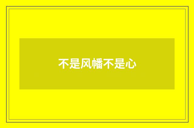 不是风幡不是心