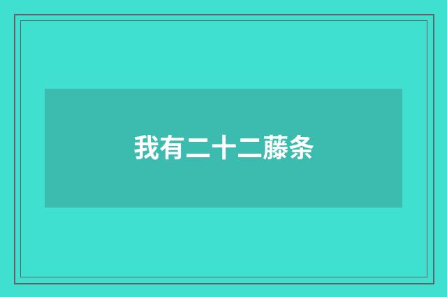 我有二十二藤条