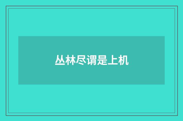 丛林尽谓是上机