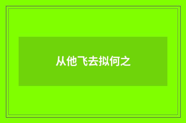 从他飞去拟何之