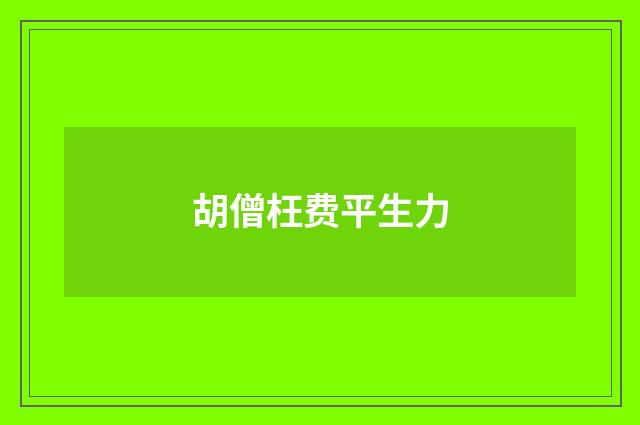 胡僧枉费平生力