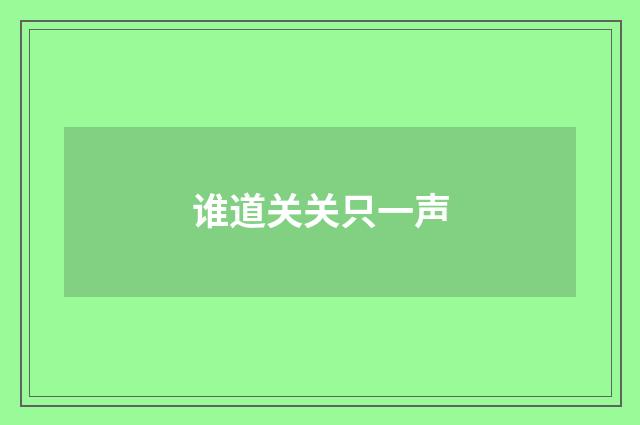 谁道关关只一声