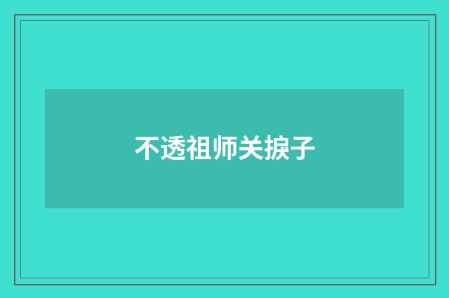 不透祖师关捩子