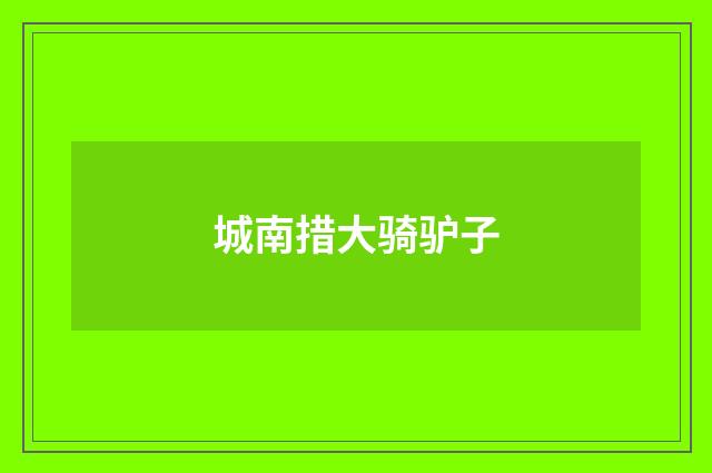 城南措大骑驴子