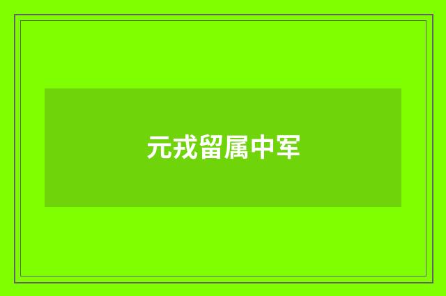 元戎留属中军