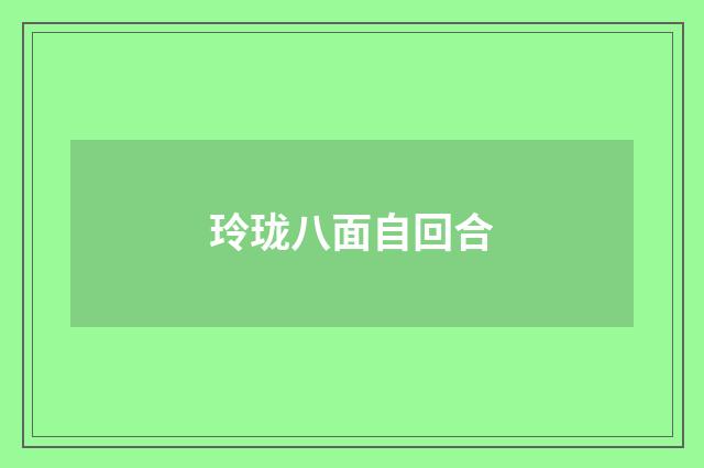玲珑八面自回合