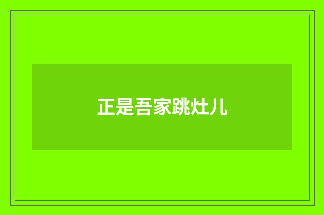 正是吾家跳灶儿