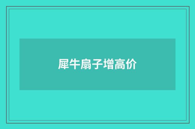 犀牛扇子增高价