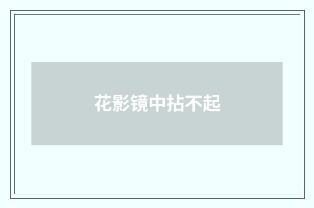 花影镜中拈不起