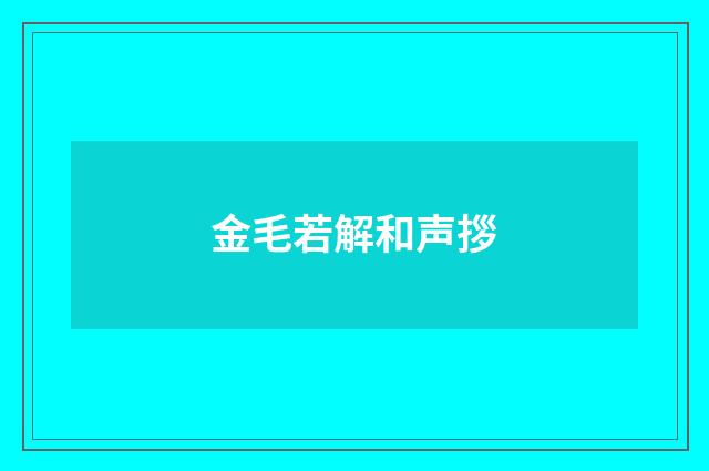 金毛若解和声拶