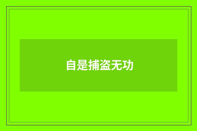 自是捕盗无功