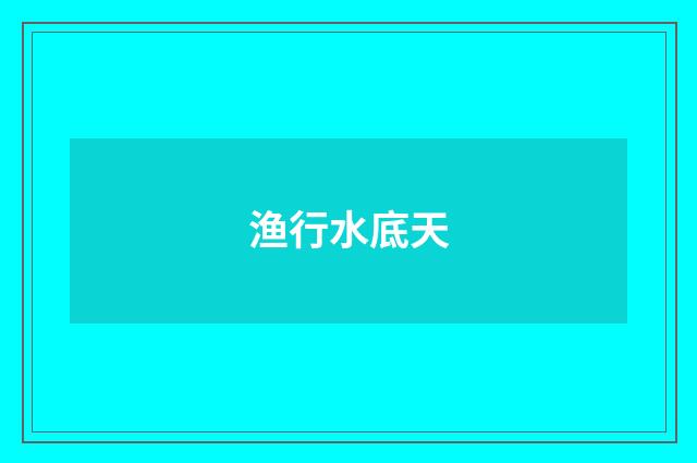 渔行水底天