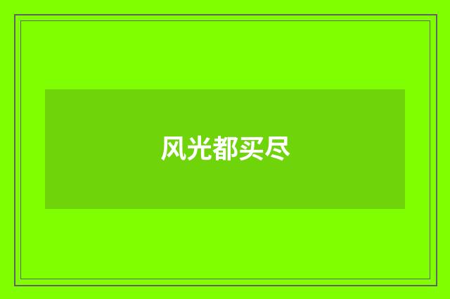 风光都买尽
