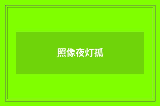 照像夜灯孤
