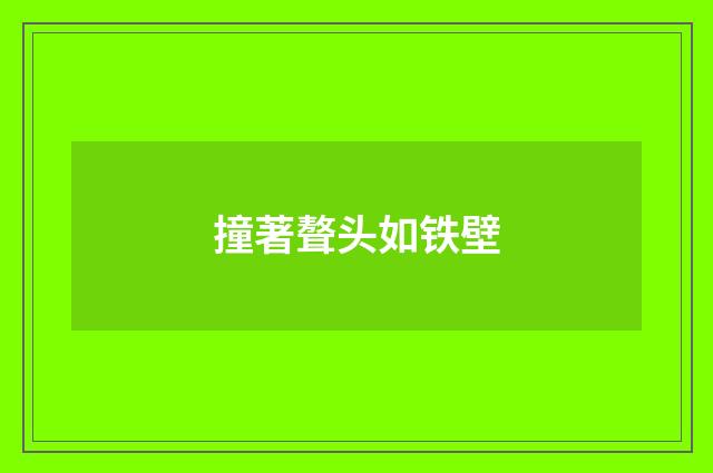 撞著聱头如铁壁