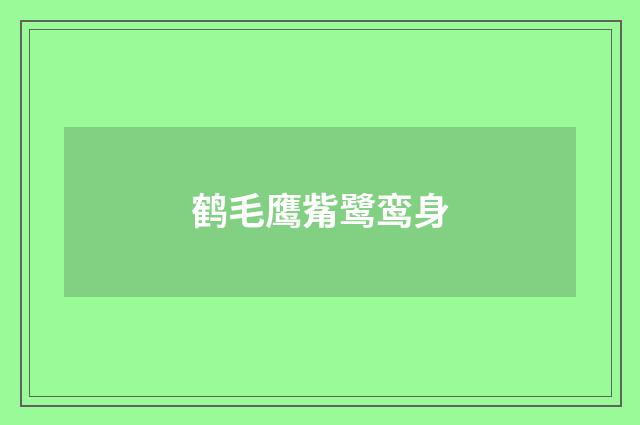 鹤毛鹰觜鹭鸾身