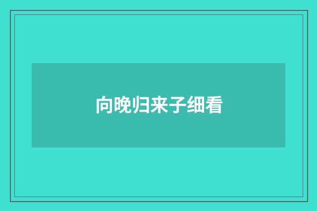向晚归来子细看
