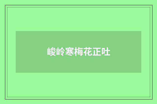 峻岭寒梅花正吐