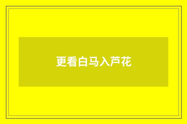 更看白马入芦花