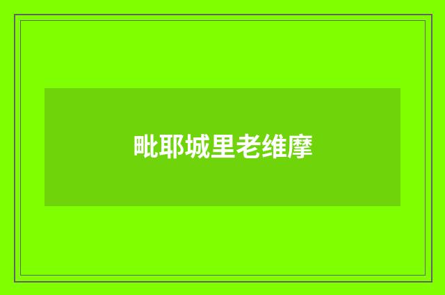 毗耶城里老维摩