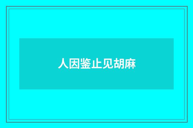 人因鉴止见胡麻