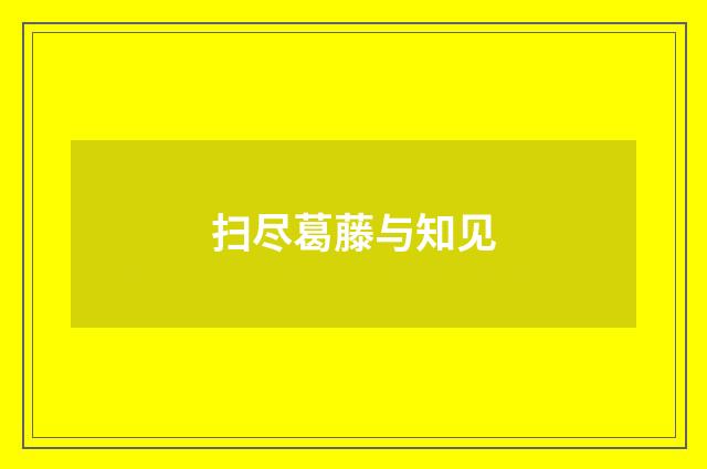 扫尽葛藤与知见