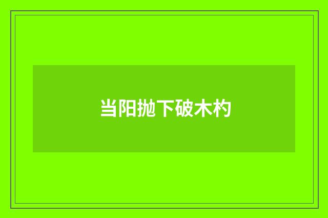 当阳抛下破木杓