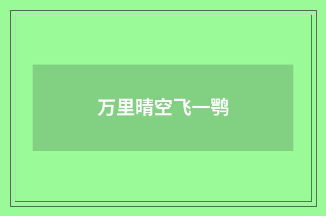 万里晴空飞一鹗