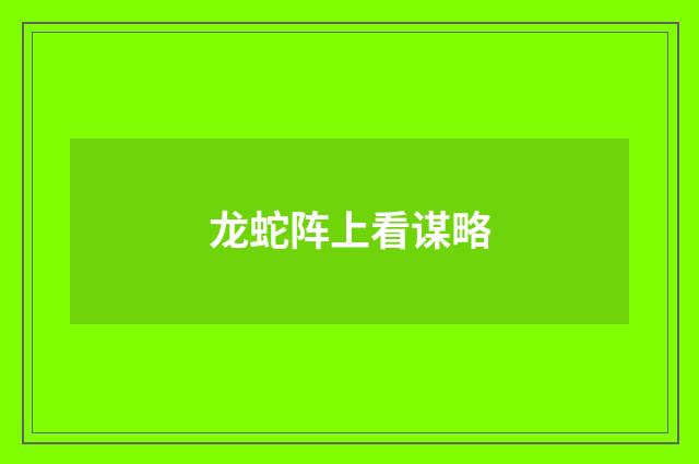 龙蛇阵上看谋略